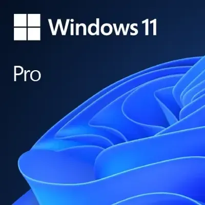 Microsoft Windows 11 Professional with Install USB