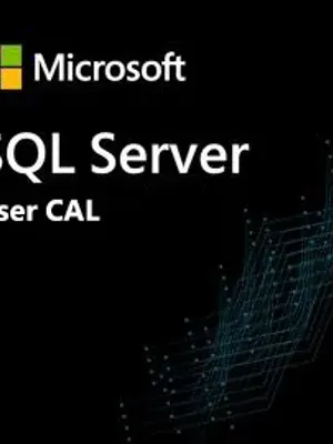 Microsoft SQL Server CAL User